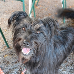 Urlaub im Schwarzwald (12)